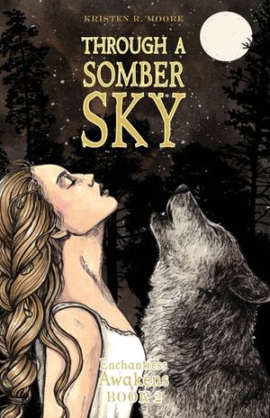 Through a Somber Sky image number 0
