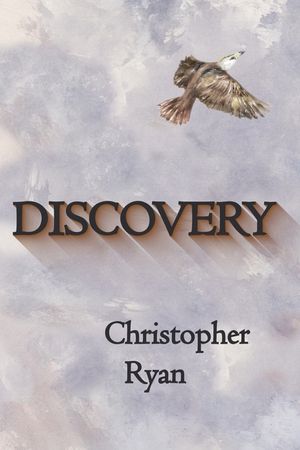 Discovery image number 0