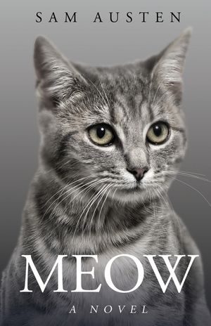 Meow image number 0