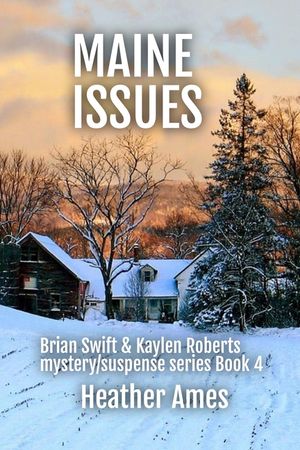 Maine Issues: Brian Swift & Kaylen Roberts mystery/suspense series Book 4 image number 0