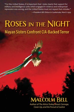 Roses in the Night image number 0