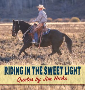 Riding In The Sweet Light Quotes by Jim Hicks image number 0