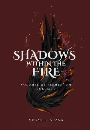 Shadows Within the Fire: Volume I image number 0