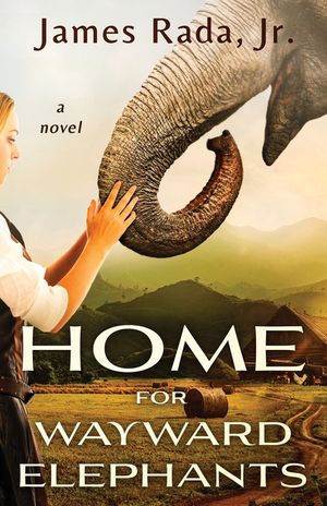 Home for Wayward Elephants image number 0