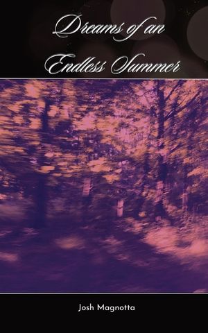 Dreams of an Endless Summer image number 0