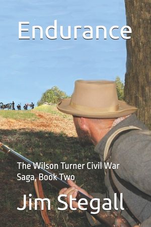 Endurance: The Wilson Turner Civil War Saga image number 0