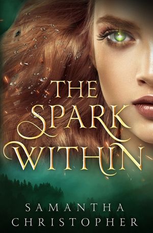 The Spark Within image number 0