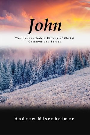 John: The Unsearchable Riches of Christ Commentary Series image number 0