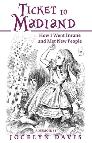 Ticket to Madland: How I Went Insane and Met New People image number 0