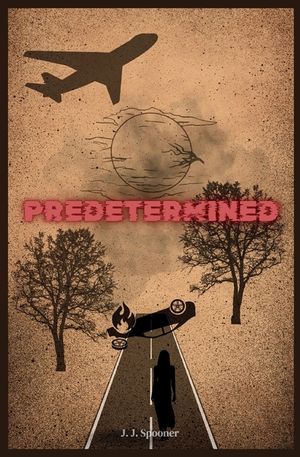 Predetermined image number 0