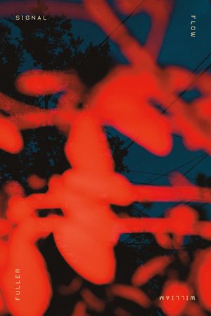 Signal Flow image number 0