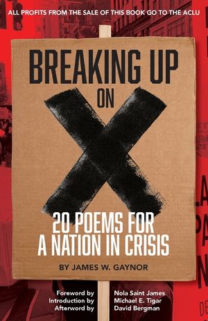 Breaking Up on X: 20 Poems for a Nation in Crisis image number 0