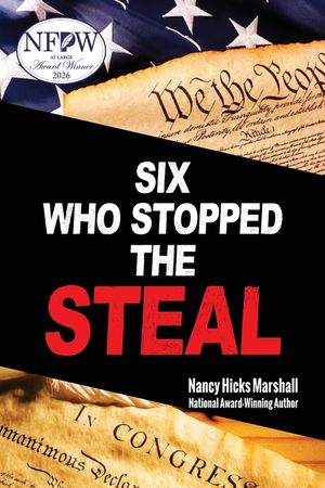 Six Who Stopped the Steal image number 0