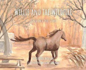 Willie and the Wildfire image number 0