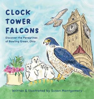 Clock Tower Falcons image number 0