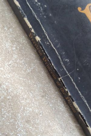 Peerless Princess of the Plains: Postcard Views of Early Wichita image number 2