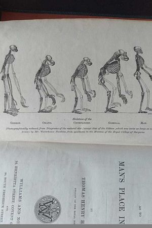 Evidence As To Man's Place In Nature image number 3
