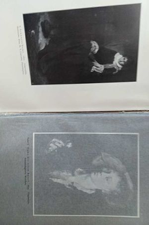 Hugo von Habermann mit seibzig abbildungen darunter neun tafeln in lichtdruck und  tonatzung image number 1
