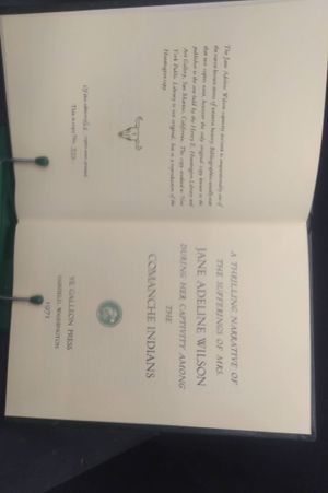 A Thrilling Narrative of the Sufferings of Mrs. Jane Adeline Wilson During Her Captivity Among the Comanche Indians image number 2