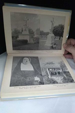 Mother Margaret Mary Healy-Murphy;: A biography image number 1