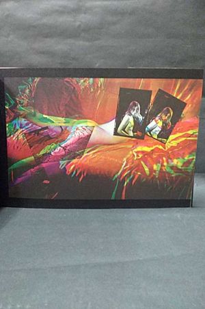 Pleasure Beach: A Book of Photography image number 2