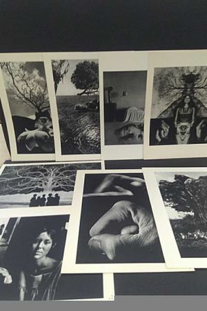 Eight Photographs image number 0