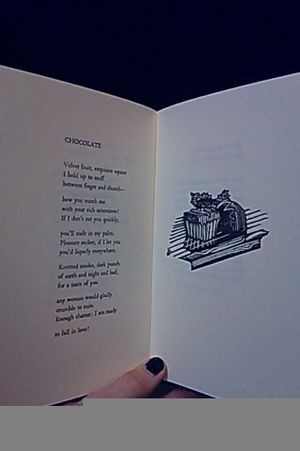 Evening Primrose image number 1