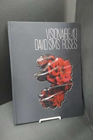 Visionaire 40 image number 2
