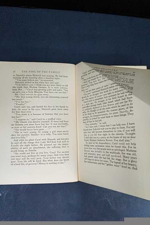 The fool of the family image number 1