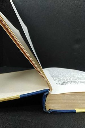 The Lonely Pasion of Judith Hearne image number 2