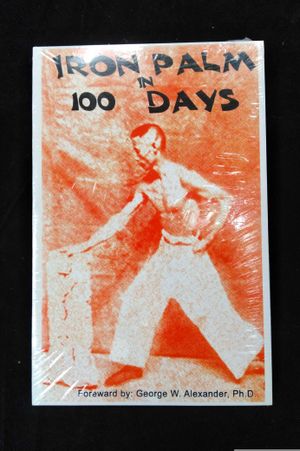 Iron Palm in 100 Days image number 0