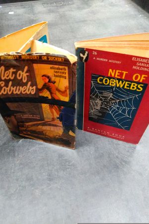 Net of Cobwebs Bantam 26 image number 0
