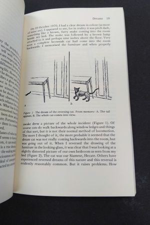 Power of the Pendulum image number 1