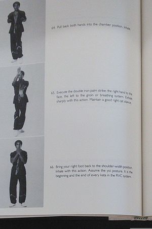 The Ron Van Clief Green and Purple Belt Guidebook image number 2