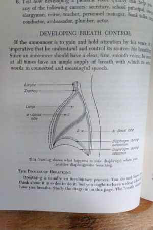 Radio English image number 2