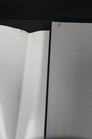 Means of Ascent image number 0