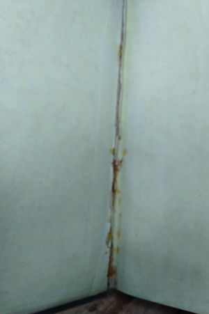 Leatherstocking Tales image number 1