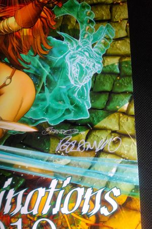 Illuminations 2010 (Signed & Numbered) image number 1