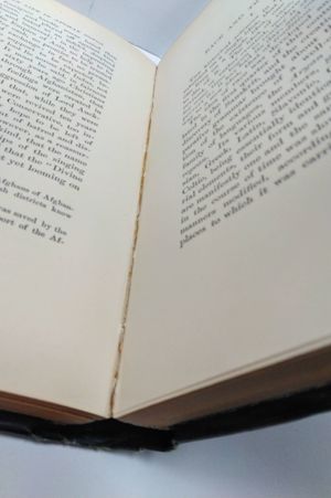 Selected Essays of James Darmesteter image number 1