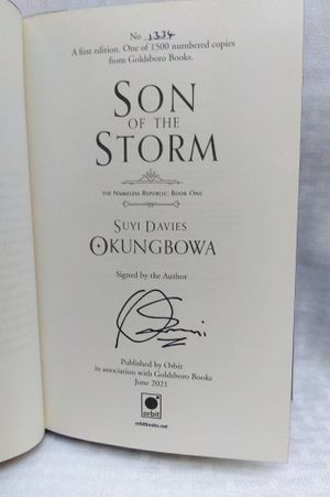 Son of the Storm image number 1