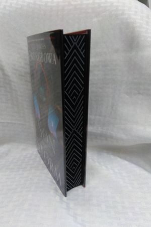 Son of the Storm image number 2