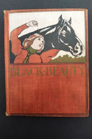 Black Beauty image number 0