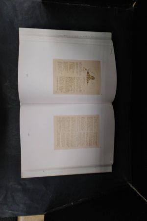 William Blake image number 2