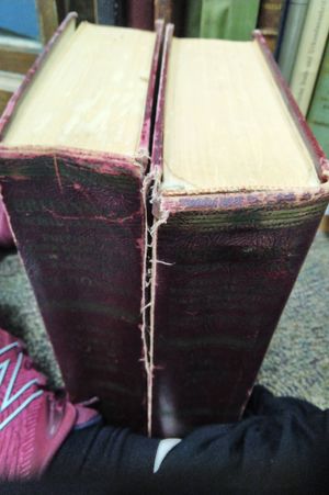 New practical Standard Dictionary of the English Language, Britannica World Language Edition, 2 Volume Set image number 1
