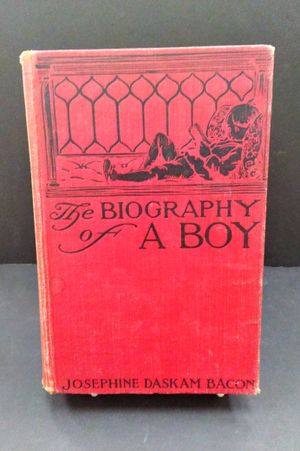 The Biography of a Boy image number 0