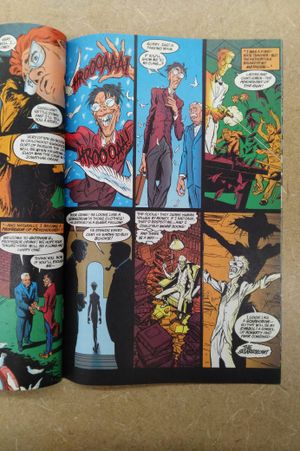 Batman: Shadow of the Bat #17 image number 2