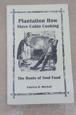 Plantation Row slave cabin cooking: The roots of soul food (Patricia B. Mitchell foodways publications) image number 0