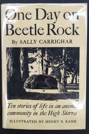 One Day on Beetle Rock image number 0