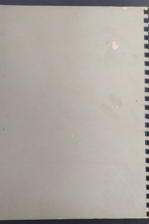 Pencil Broadsides A Manual of Broad Stroke Technique image number 2