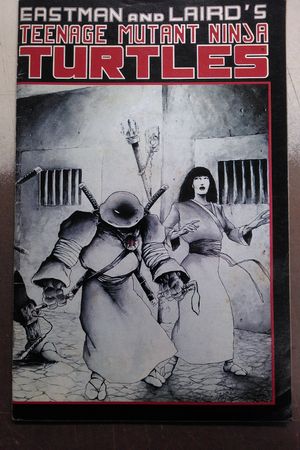 Teenage Mutant Ninja Turtles #17 image number 0
